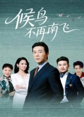 候鳥(niǎo)不再南飛